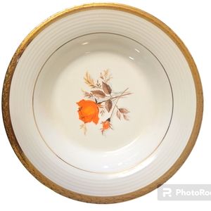 Triumph American Limoges bone China 9 piece bowl set